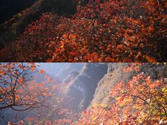 -周口店坡峰岭风景区