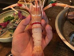 -斯普汇生蚝牛排馆(中骏世界城店)