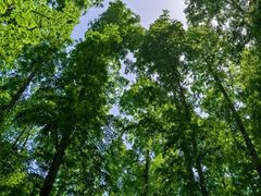 -南京金牛湖风景区