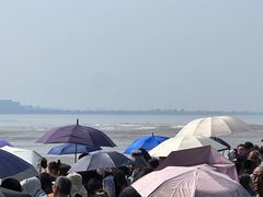 -观潮胜地公园