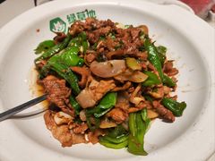 -绿草地·湘菜(7mall店)