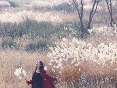 -汉长安城未央宫国家考古遗址公园