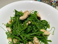 -悦融琥珀·京鲁菜·海味珍品(西单店)