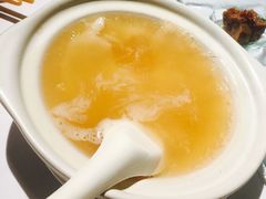 -新同乐鱼翅酒家(美丽华店)