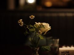-西安赛瑞喜来登大酒店