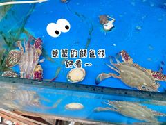 -海帮主·蒸汽海鲜青岛菜(栈桥火车站店)