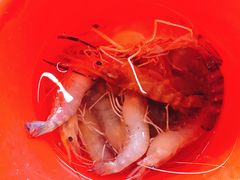 -小象钓虾·营地烧烤(洛溪店)