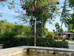 -三江森林温泉度假区