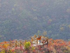 -水峪民俗村