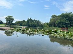 -东方绿舟景区