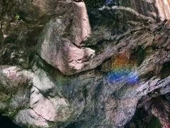 -牛背梁国家森林公园