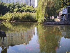 -苏州河梦清园环保主题公园