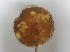 -刘蒲记