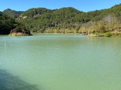 -广州白江湖森林公园