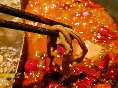 鸭肠-胖姐社区老火锅(北京总店)