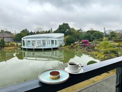 -春霞园餐厅