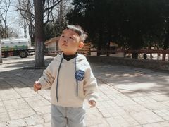 -保定市动物园