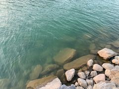 -天鹅湖生态旅游风景区