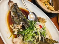 -东江渔村·古典园林·30年粤菜老字号(太和店)