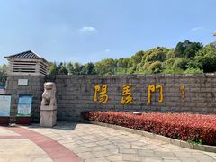 -宜兴龙背山森林公园