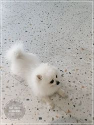 -MZ SKIN CARE逆齢驻颜中心