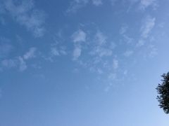 -星巴克(贵阳花果园1店)