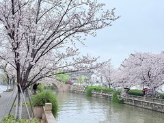 -常熟方塔园