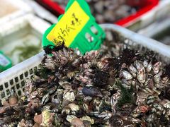 狗爪螺-外伶仃岛海鲜市场