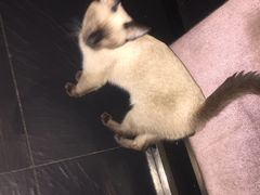 -吱咖啡西式简餐