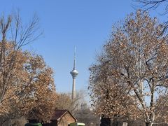 -天津市动物园