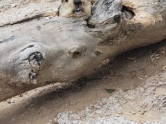 -北戴河集发农业梦想王国