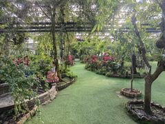 -呀路古热带植物园