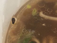 -车沾巷·重庆老味豌杂面