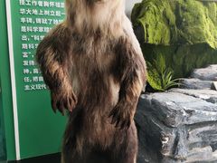 -昆明动物博物馆