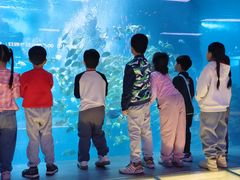 -石家庄海洋公园