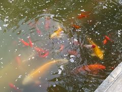 -汤阴县羑里周易博物馆