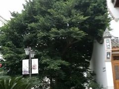 android_upload_pic-乌山风景区
