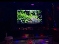 -加州红歌声宴KTV(白石洲店)