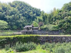-东白山