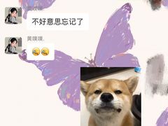 -Mr.Fox狐狸先生超级密室(南山店)