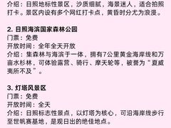 -日照海滨国家森林公园