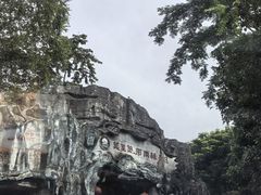 -莫里热带雨林景区