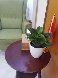 -正璞医疗美容·皮肤修复·微整注射