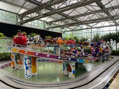 -南宫五洲植物乐园