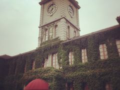 -半岛公馆(淞兴西路店)