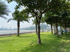 -野狸岛