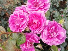 -人民公园(罗湖区)