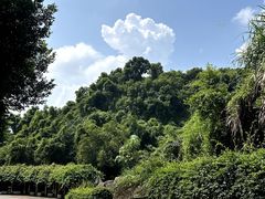 -火炉山森林公园