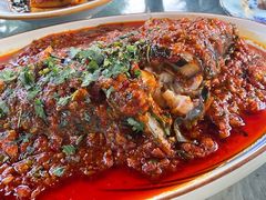 藿香豆瓣鱼-青城甲(青城山店)