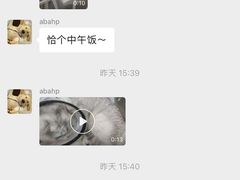 -贝康宠物医院·犬猫全科·小动物特色诊疗中心(东环路店)